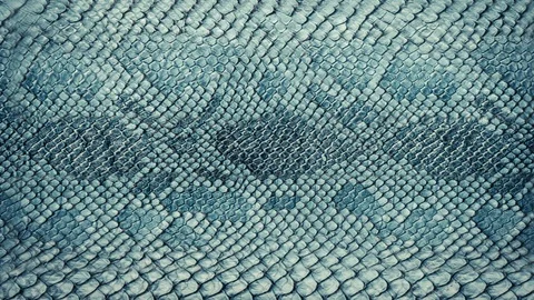 Snake skin background.  Stock Footage 88203519