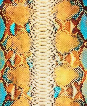 Snake skin background Illustrazione stock