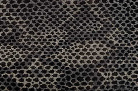 Snake skin background Foto stock