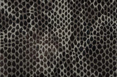 Snake skin background Stock Photos