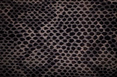 Snake skin background Stock Photos