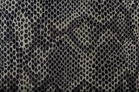 Snake skin background Stock Photos
