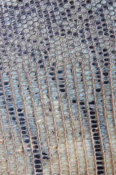Snake skin background Stock Photos