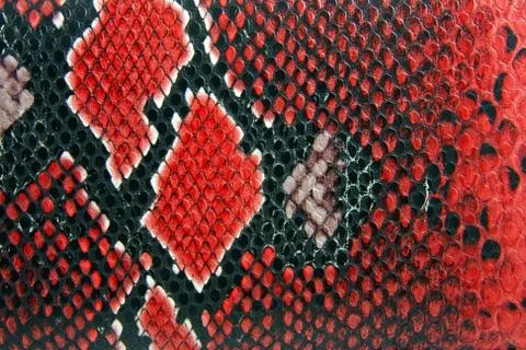 Snake skin background Stock Photos