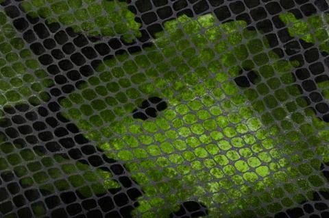 Snake skin background Foto stock