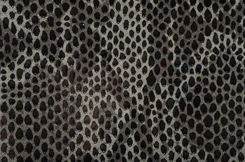 Snake skin background Foto stock