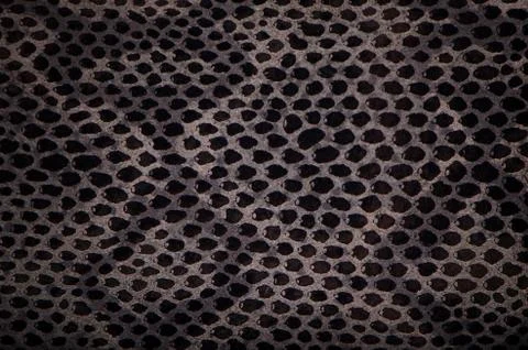 Snake skin background Foto stock