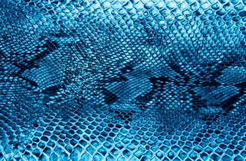 Snake skin background Foto stock