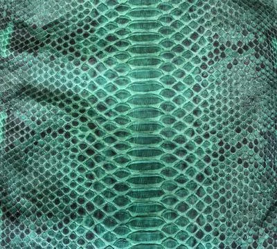 Snake skin background Foto stock