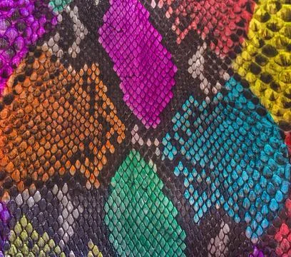 Snake skin background Photos