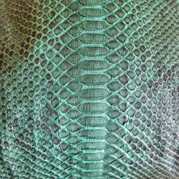 Snake skin background Stock Photos