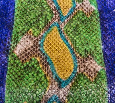 Snake skin background Foto stock
