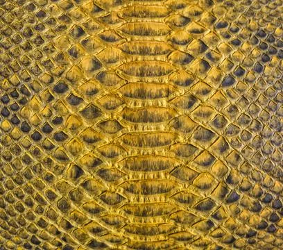 Snake skin background Stockfoto's