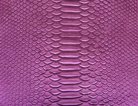 Snake skin background 스톡 사진