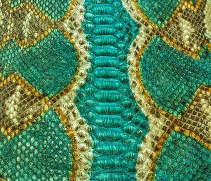 Snake skin background Stock Photos