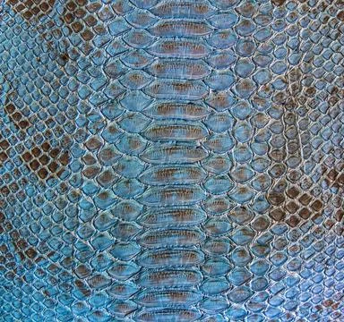 Snake skin background Foto stock