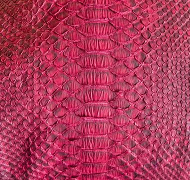 Snake skin background Stock Photos