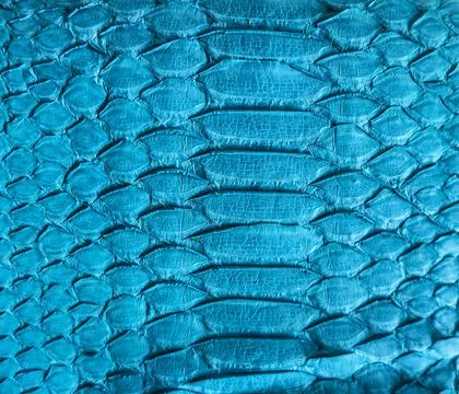 Snake skin background Foto stock