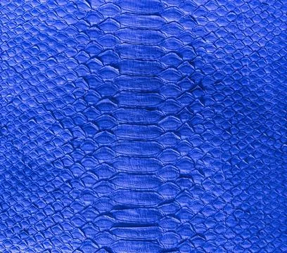 Snake skin background Stock Photos