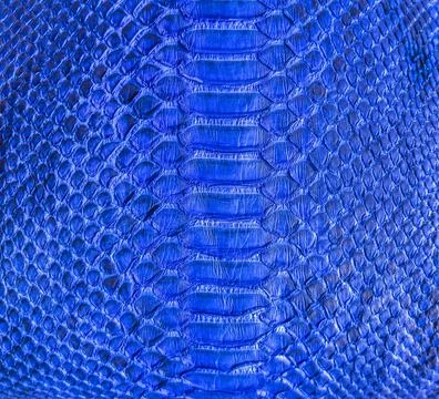 Snake skin background 写真素材