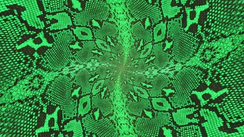 Snake skin endless mesmeric hypnotic spiral seamless loop animation background Stock Footage 100114000