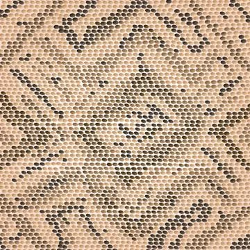 Snake skin Illustrazione stock