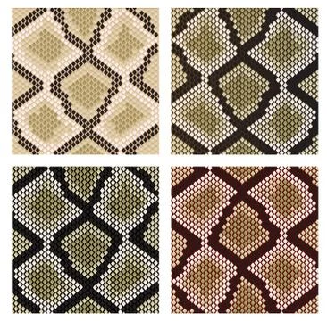 Snake skin イラスト素材
