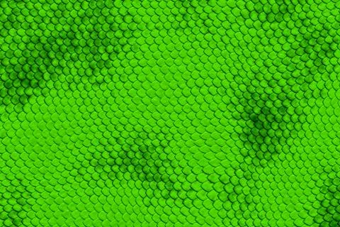 Snake skin Illustrazione stock