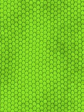 Snake skin Illustrazione stock