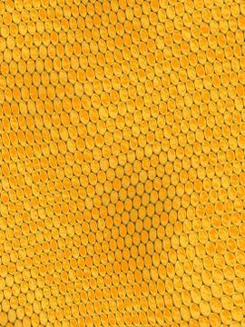 Snake skin Illustrazione stock