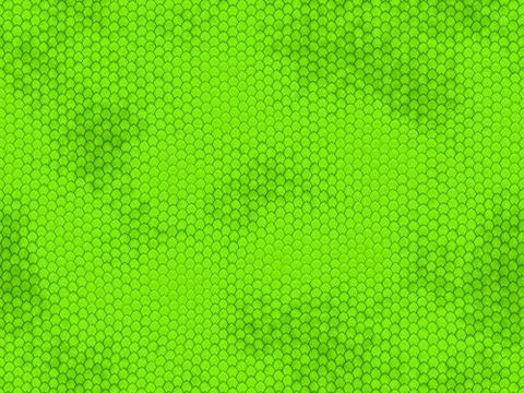Snake skin Illustration