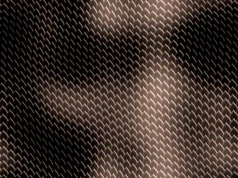 Snake skin 库存插图