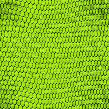 Snake skin Stock Illustration