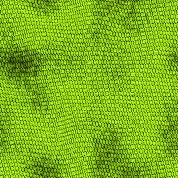 Snake skin Illustration