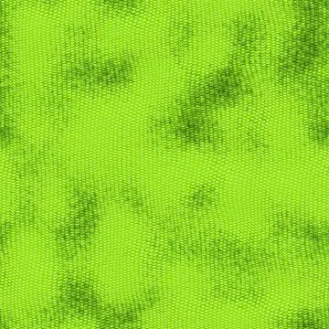 Snake skin Illustration
