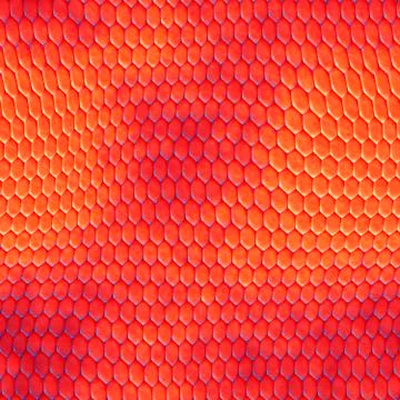 Snake skin Illustrazione stock