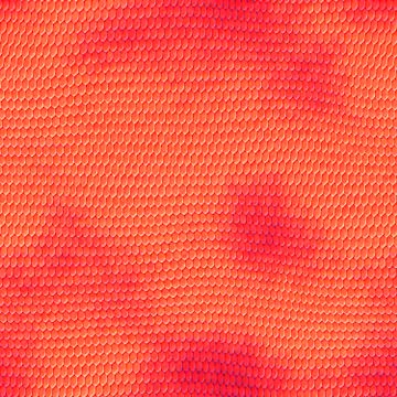 Snake skin Illustration