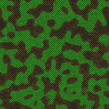 Snake skin 스톡 일러스트