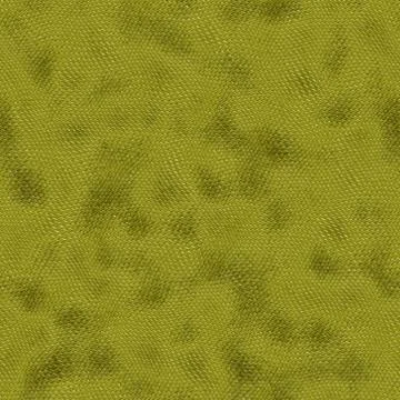 Snake skin 스톡 일러스트