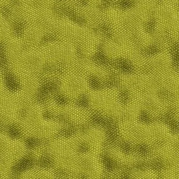 Snake skin Illustrazione stock