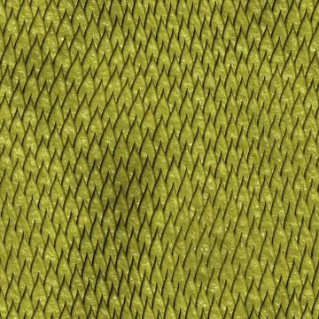 Snake skin イラスト素材