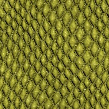 Snake skin イラスト素材