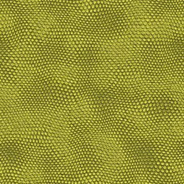 Snake skin Illustrazione stock