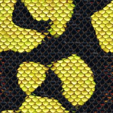 Snake skin Stock Illustration