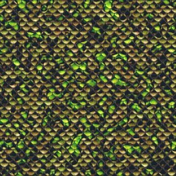 Snake skin Stock Illustration