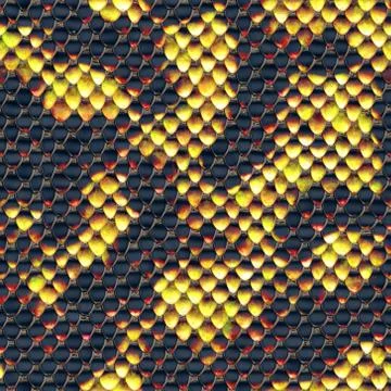 Snake skin Stock Illustration