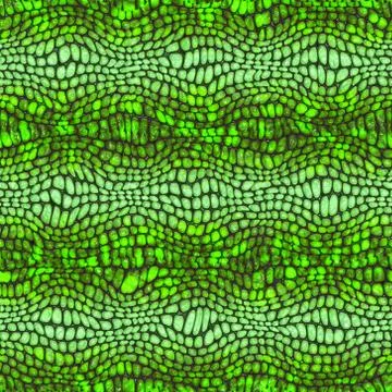 Snake skin Stock Illustration