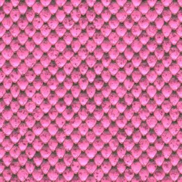 Snake skin イラスト素材