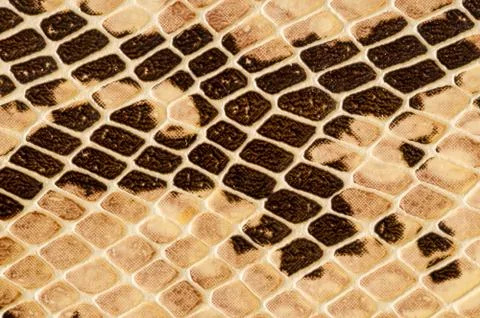 Snake skin pattern background , digital image picture 스톡 사진