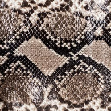 Snake skin pattern background 写真素材